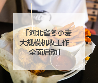河北省冬小麦大规模机收工作全面启动