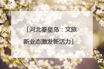 河北秦皇岛：文旅新业态激发新活力