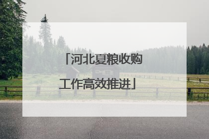 河北夏粮收购工作高效推进