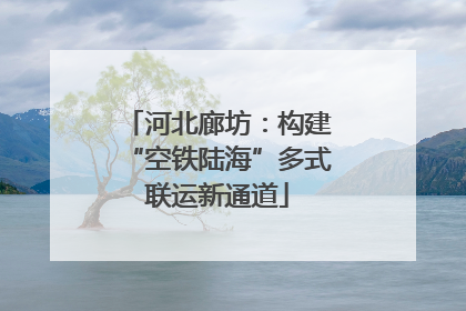 河北廊坊：构建“空铁陆海”多式联运新通道
