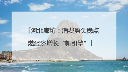 河北廊坊：消费势头稳点燃经济增长“新引擎”