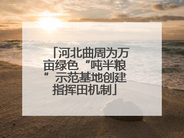 河北曲周为万亩绿色“吨半粮”示范基地创建指挥田机制