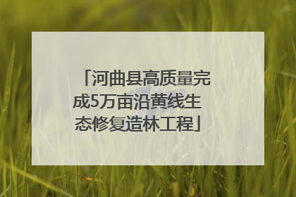 河曲县高质量完成5万亩沿黄线生态修复造林工程