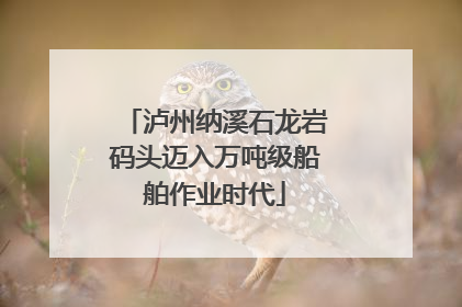 泸州纳溪石龙岩码头迈入万吨级船舶作业时代