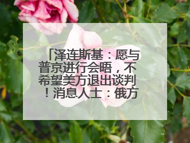 泽连斯基：愿与普京进行会晤，不希望美方退出谈判！消息人士：俄方停火条件包括北约“书面”保证不东扩