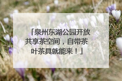 泉州东湖公园开放共享茶空间，自带茶叶茶具就能来！