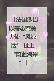 法国涉巴以表态惹美大使“风凉话” 扯上“蔚蓝海岸”