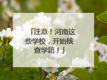 注意！河南这些学校，开始核查学籍！