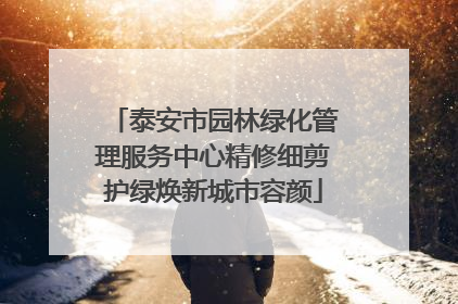 泰安市园林绿化管理服务中心精修细剪护绿焕新城市容颜