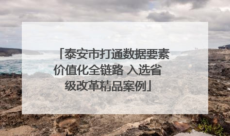 泰安市打通数据要素价值化全链路 入选省级改革精品案例