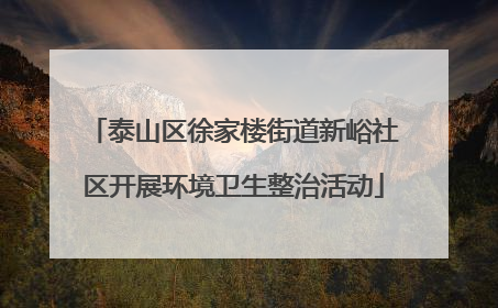 泰山区徐家楼街道新峪社区开展环境卫生整治活动