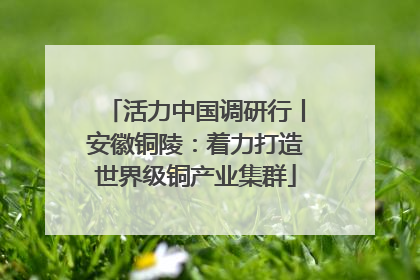 活力中国调研行丨安徽铜陵：着力打造世界级铜产业集群