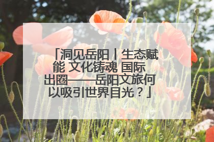 洞见岳阳丨生态赋能 文化铸魂 国际出圈——岳阳文旅何以吸引世界目光？
