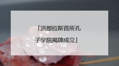 洪都拉斯首所孔子学院揭牌成立