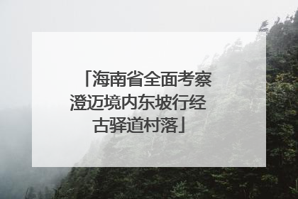 海南省全面考察澄迈境内东坡行经古驿道村落