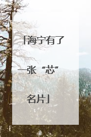海宁有了一张“芯”名片