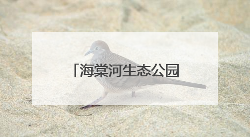 海棠河生态公园（二期）开园，三亚“国家海岸”再添生态名片