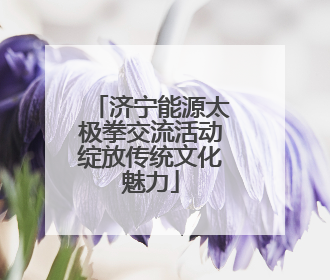 济宁能源太极拳交流活动绽放传统文化魅力