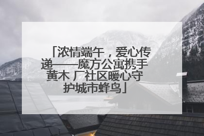 浓情端午，爱心传递——魔方公寓携手黄木 厂社区暖心守护城市蜂鸟