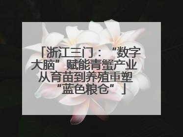 浙江三门：“数字大脑”赋能青蟹产业 从育苗到养殖重塑“蓝色粮仓”