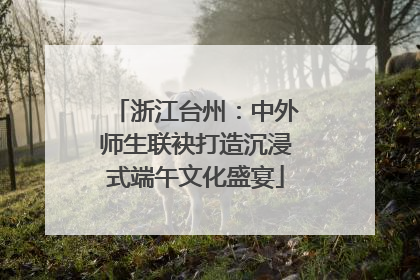浙江台州：中外师生联袂打造沉浸式端午文化盛宴