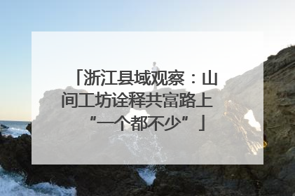 浙江县域观察：山间工坊诠释共富路上“一个都不少”