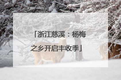浙江慈溪：杨梅之乡开启丰收季