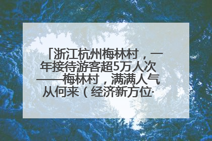 浙江杭州梅林村，一年接待游客超5万人次——梅林村，满满人气从何来（经济新方位·农村消费观察）
