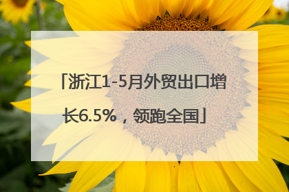 浙江1-5月外贸出口增长6.5%，领跑全国