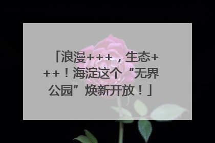 浪漫+++，生态+++！海淀这个“无界公园”焕新开放！