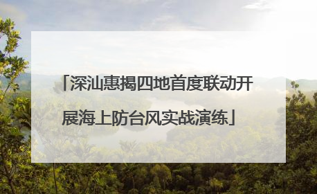 深汕惠揭四地首度联动开展海上防台风实战演练
