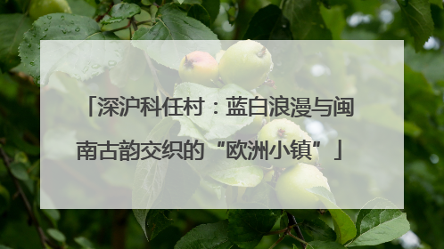 深沪科任村：蓝白浪漫与闽南古韵交织的“欧洲小镇”