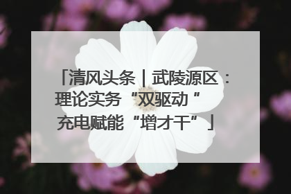 清风头条｜武陵源区：理论实务“双驱动 ” 充电赋能“增才干”