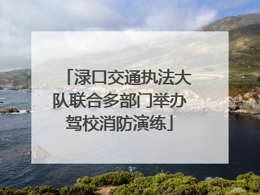 渌口交通执法大队联合多部门举办驾校消防演练