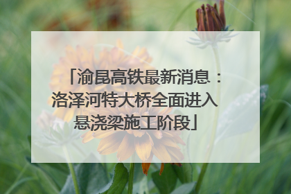 渝昆高铁最新消息：洛泽河特大桥全面进入悬浇梁施工阶段
