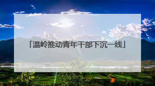 温岭推动青年干部下沉一线