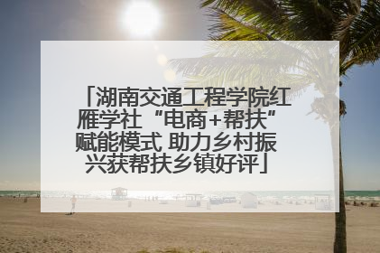 湖南交通工程学院红雁学社“电商+帮扶”赋能模式 助力乡村振兴获帮扶乡镇好评