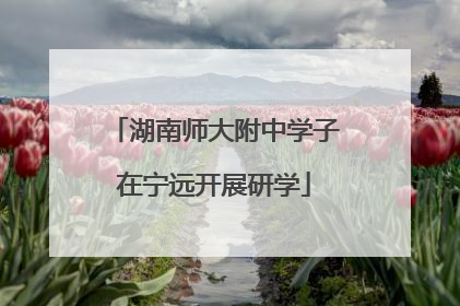 湖南师大附中学子在宁远开展研学
