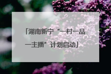 湖南新宁“一村一品一主播”计划启动