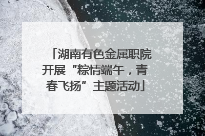 湖南有色金属职院开展“粽情端午，青春飞扬”主题活动