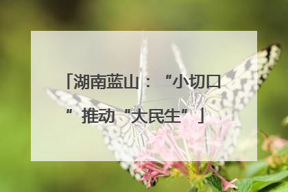 湖南蓝山：“小切口”推动“大民生”