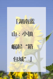 湖南蓝山：小镇崛起“箱包城”