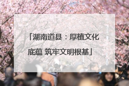 湖南道县：厚植文化底蕴 筑牢文明根基