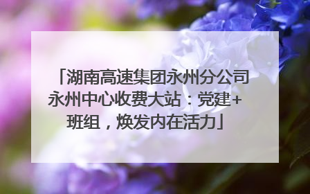 湖南高速集团永州分公司永州中心收费大站：党建+班组，焕发内在活力