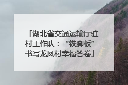 湖北省交通运输厅驻村工作队：“铁脚板”书写龙凤村幸福答卷