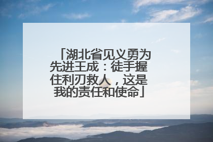 湖北省见义勇为先进王成：徒手握住利刃救人，这是我的责任和使命