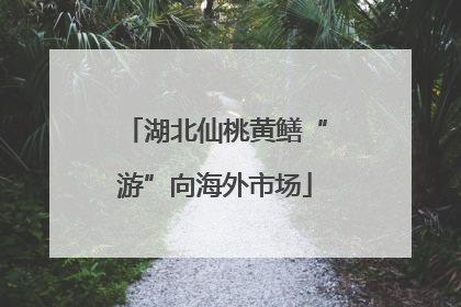 湖北仙桃黄鳝“游”向海外市场