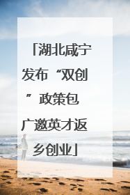 湖北咸宁发布“双创”政策包 广邀英才返乡创业