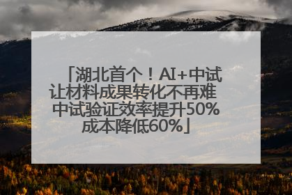湖北首个！AI+中试让材料成果转化不再难 中试验证效率提升50%成本降低60%
