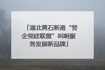 湖北黄石新港“警企党建联盟”叫响服务发展新品牌